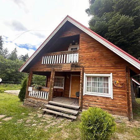 Willa Alpine Ski Chalet Borovets With Sauna Zewnętrze zdjęcie