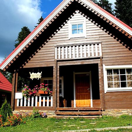 Willa Alpine Ski Chalet Borovets With Sauna Zewnętrze zdjęcie