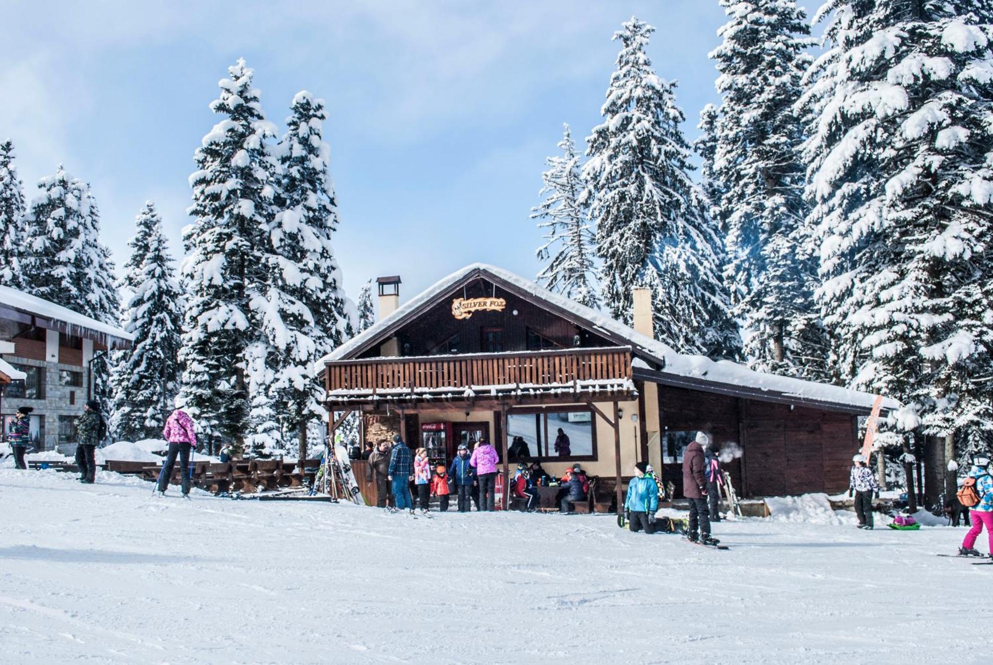 Alpine Ski Chalet Borovets With Sauna Zewnętrze zdjęcie