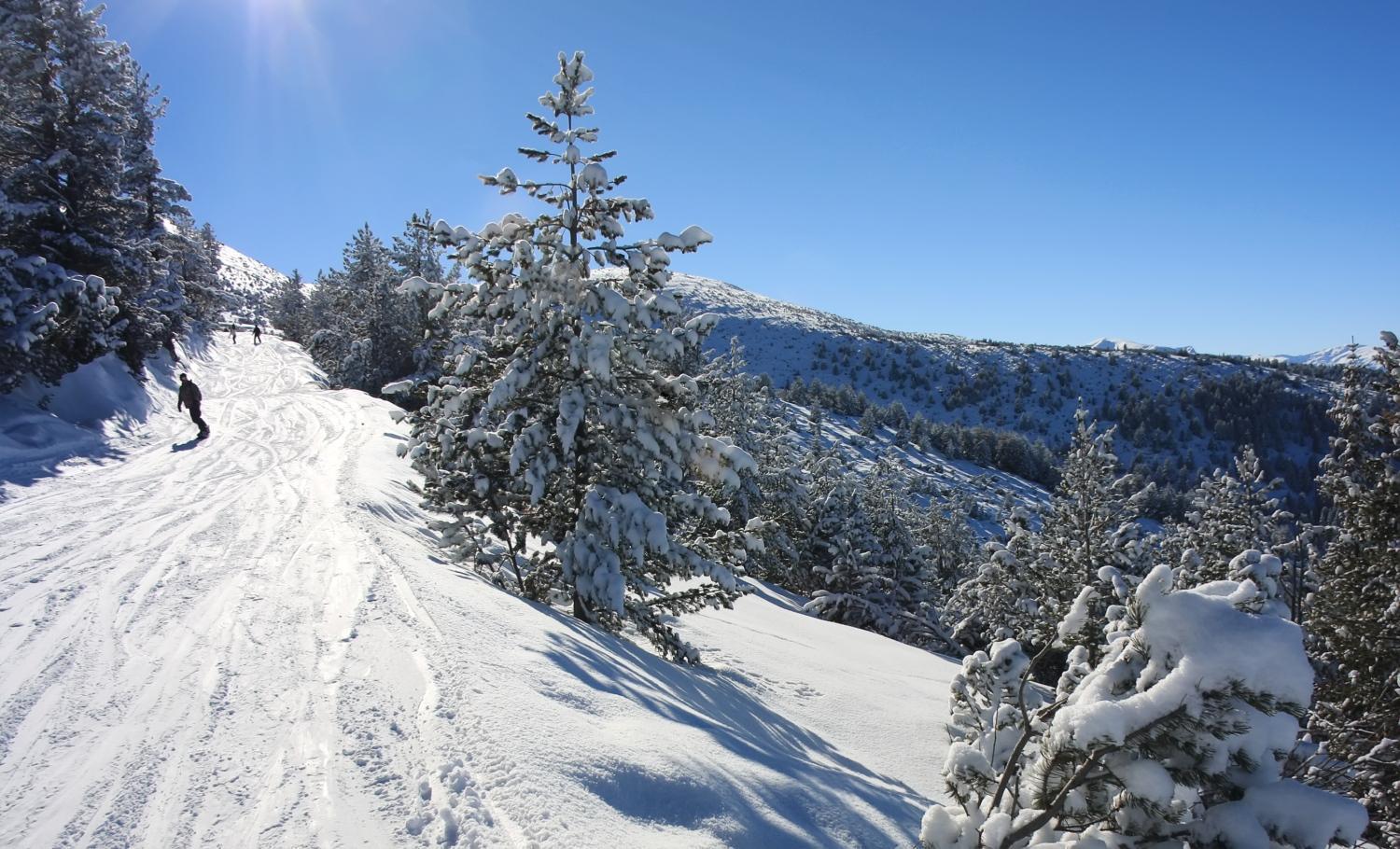 Alpine Ski Chalet Borovets With Sauna Zewnętrze zdjęcie