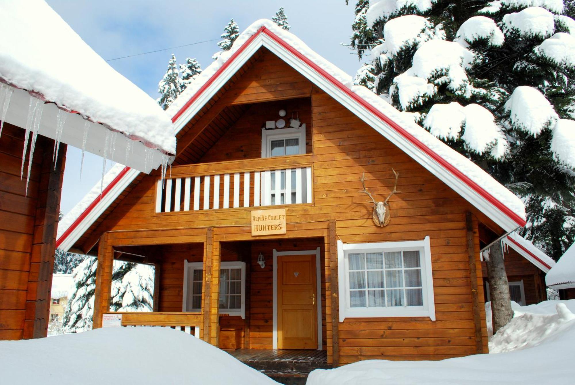 Willa Alpine Ski Chalet Borovets With Sauna Zewnętrze zdjęcie