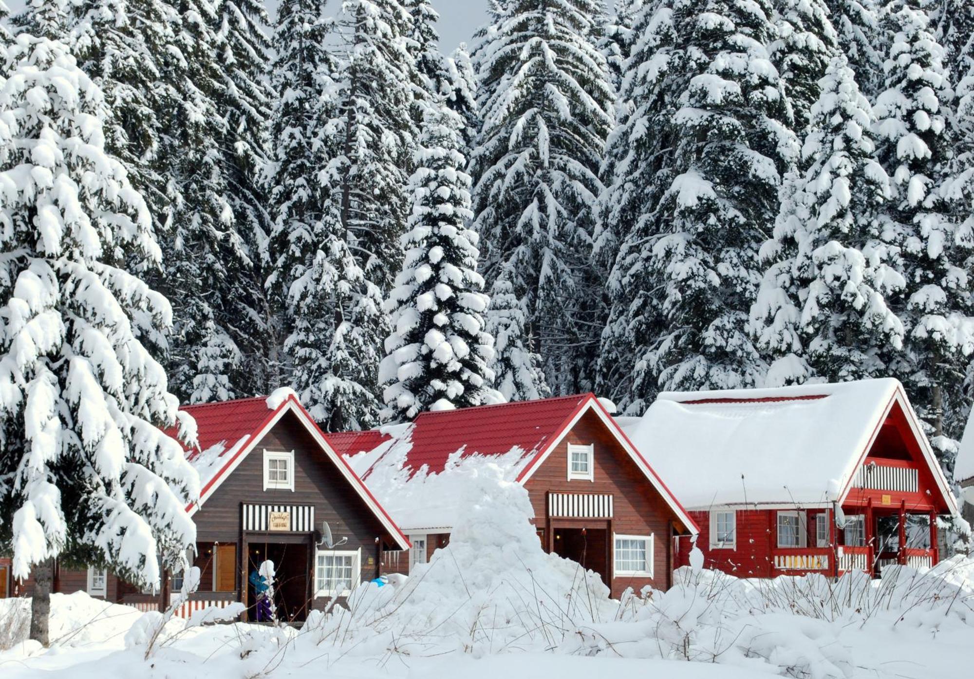 Willa Alpine Ski Chalet Borovets With Sauna Zewnętrze zdjęcie