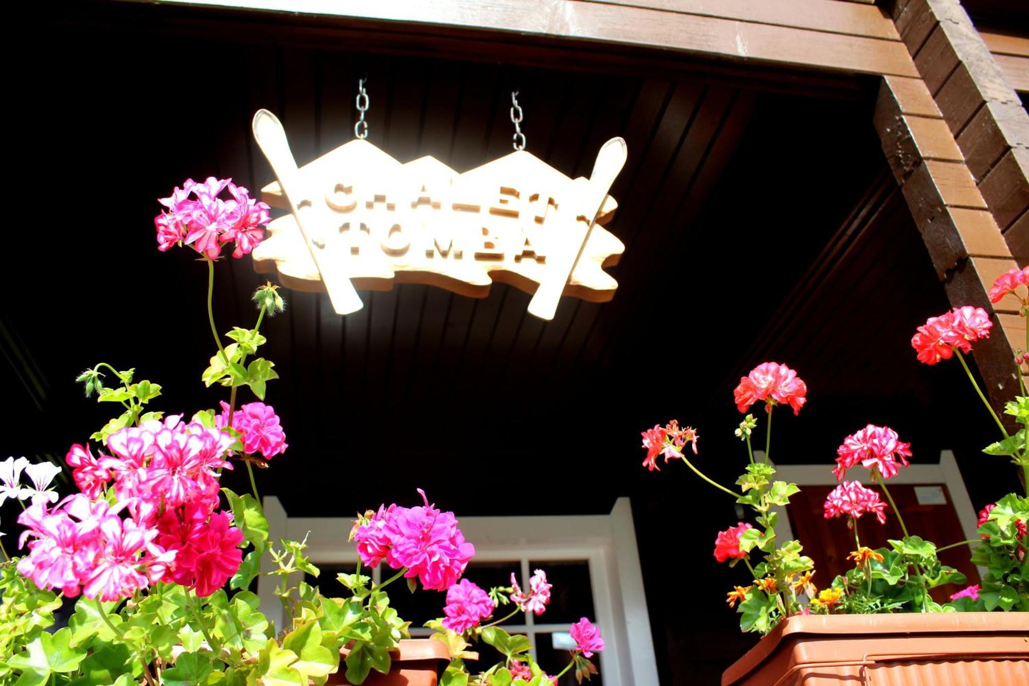 Alpine Ski Chalet Borovets With Sauna Zewnętrze zdjęcie