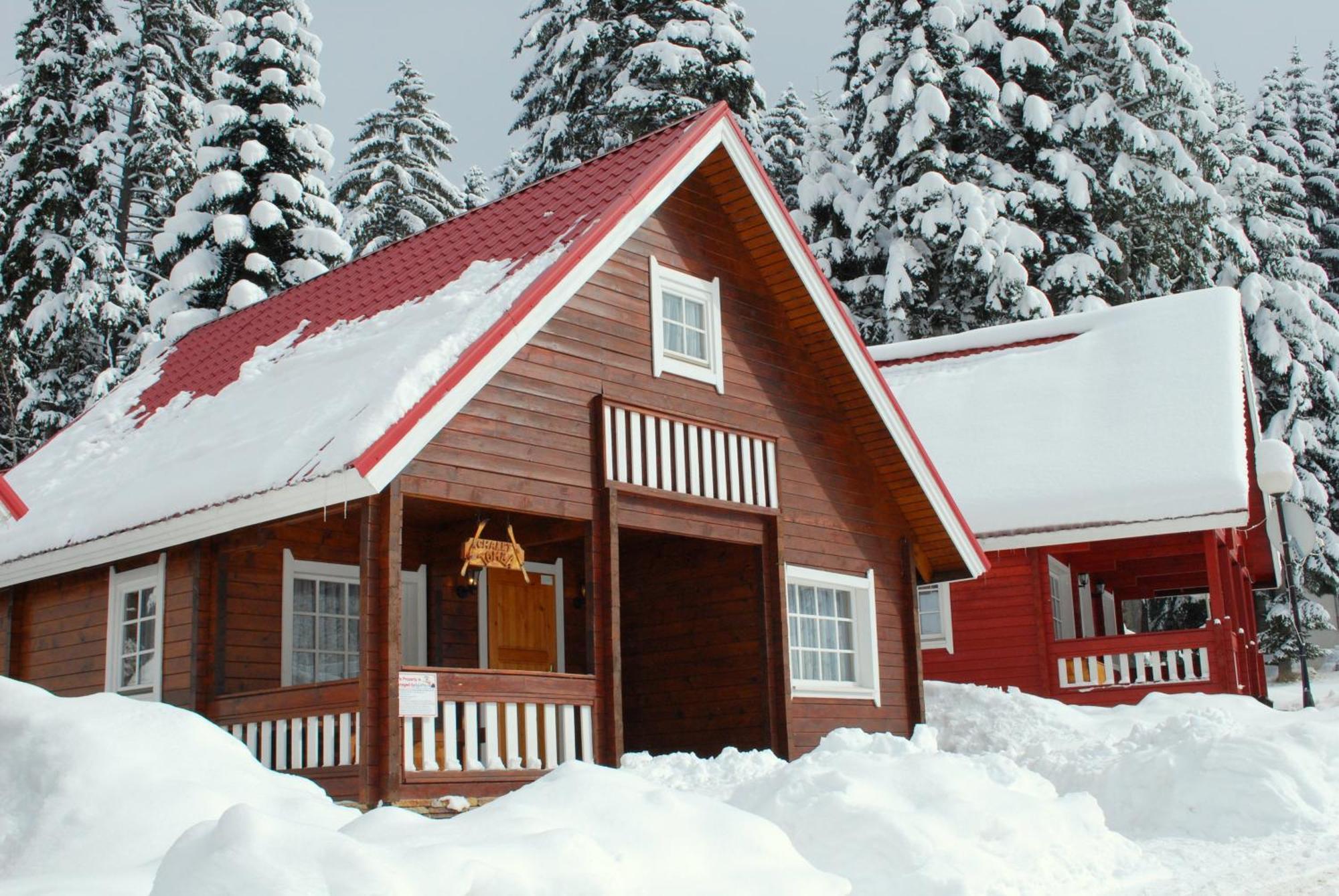 Willa Alpine Ski Chalet Borovets With Sauna Zewnętrze zdjęcie