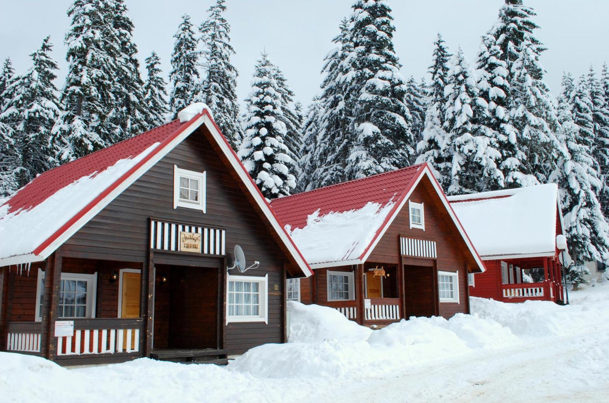 Alpine Ski Chalet Borovets With Sauna Zewnętrze zdjęcie