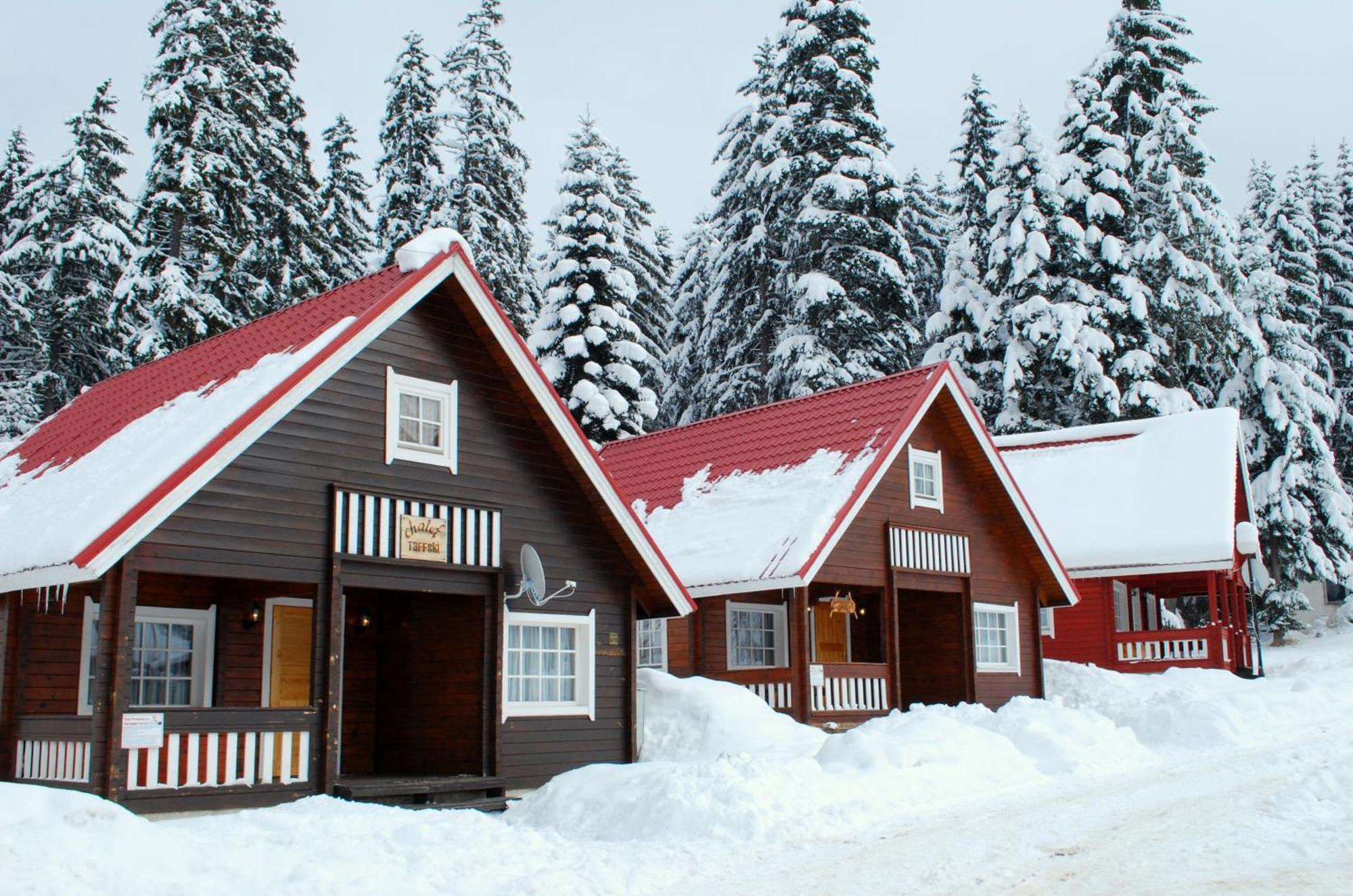 Willa Alpine Ski Chalet Borovets With Sauna Zewnętrze zdjęcie