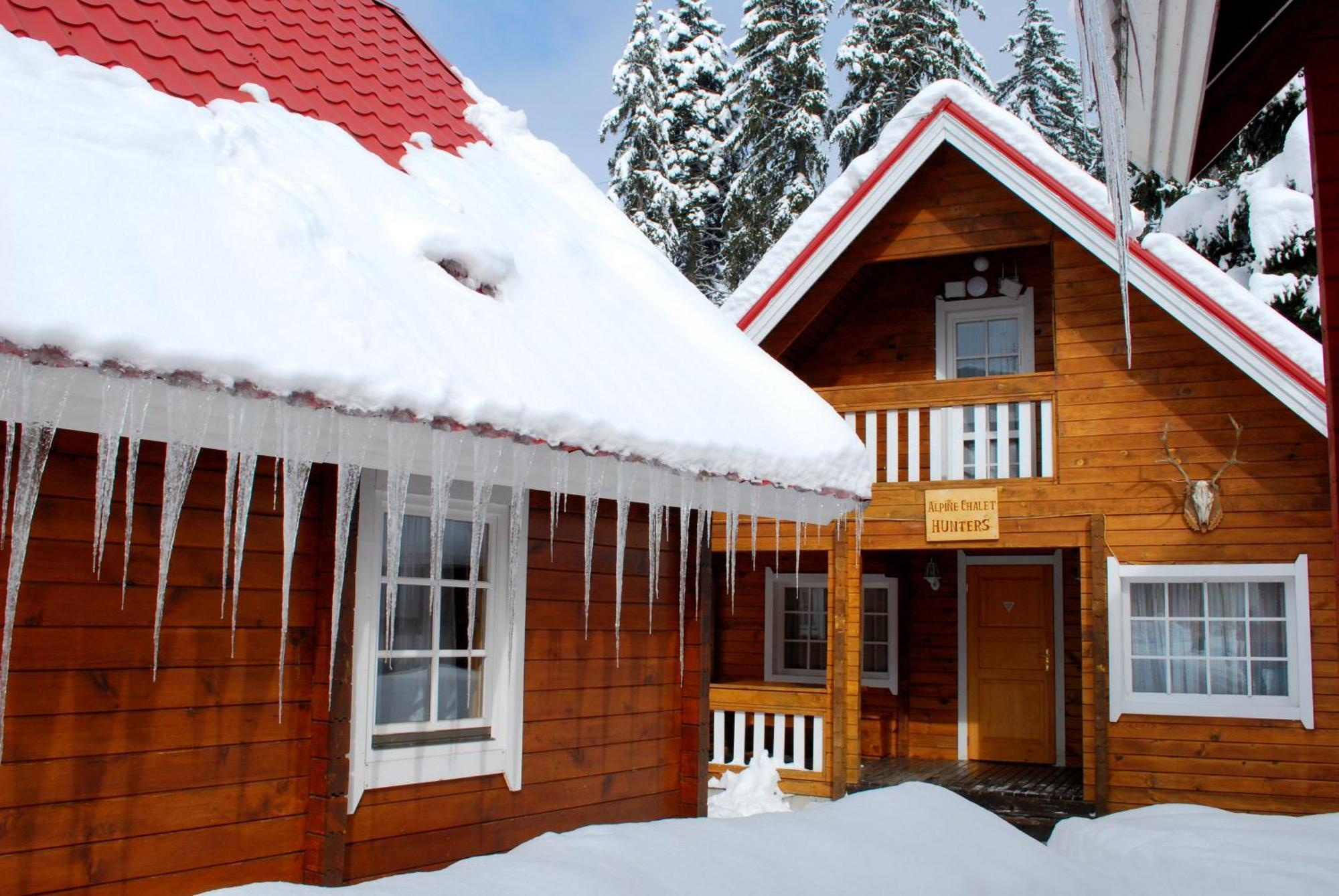 Alpine Ski Chalet Borovets With Sauna Pokój zdjęcie